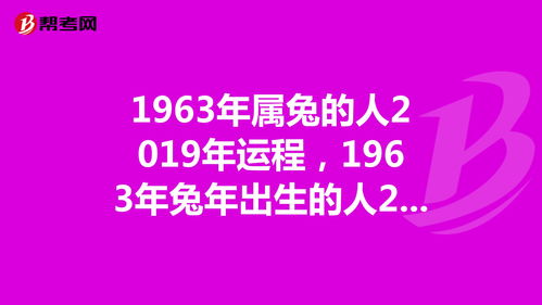 兔人2019年每月运势运程(兔人2019年每月运势运程详解)