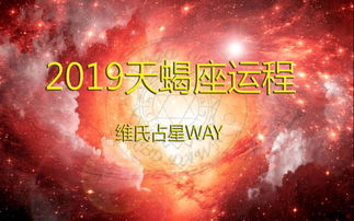 2014年天蝎座女运势(2024年天蝎座的运势)