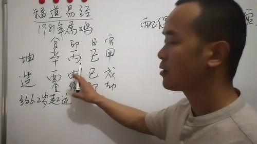 2019年八字运势(2019年运势12生肖运势每月运程)