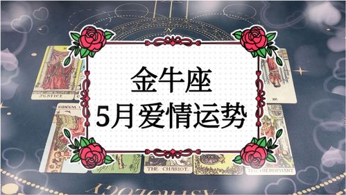 2018年金牛座爱情运势(金牛座2017)