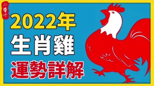 2022年属鸡人全年运势(2022年属鸡人全年运势1982)