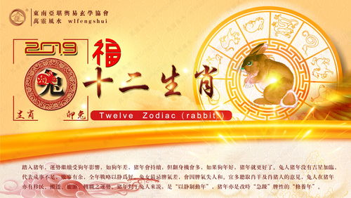 77年属2019年运势如何的简单介绍