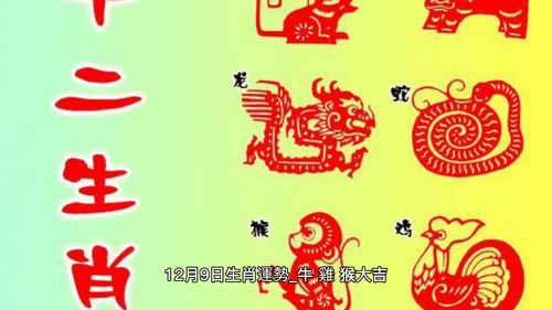 12属相12月运势(2023年属相运势)