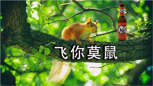 12生肖运势属鼠逐月运势如何(生肖鼠每月运势详解2021)