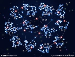 12月运势生肖运势2015(12月生肖运势2021)