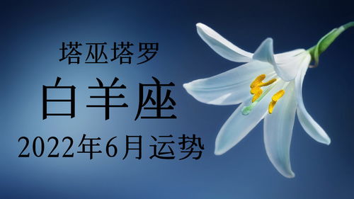 白羊座2016年6月运势(白羊座20216月运势)