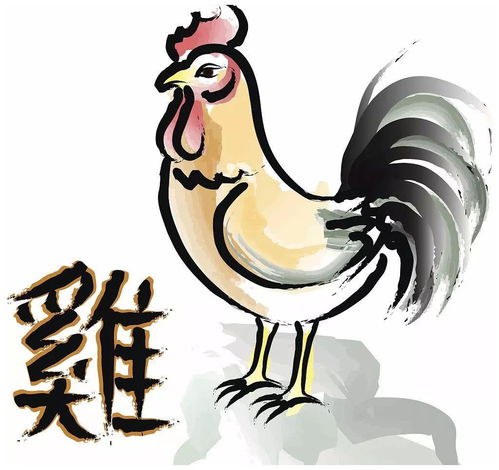 81属鸡2017年每月运势(2020属鸡的运势和财运1981年每月)