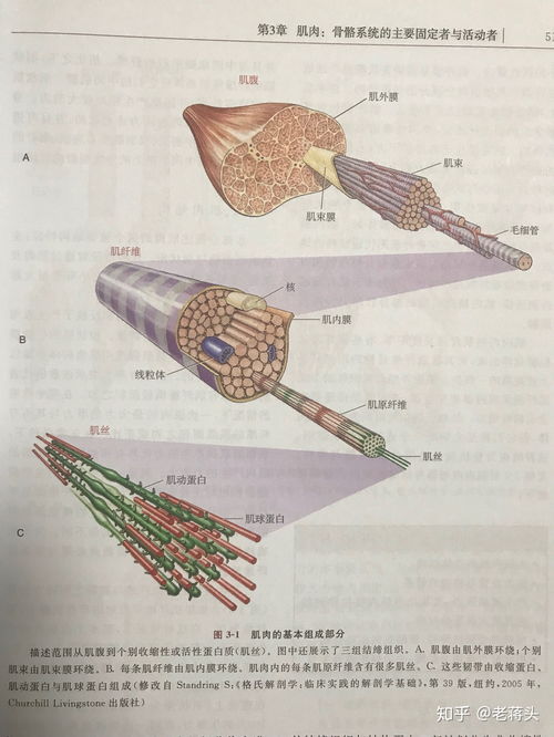 游泳力学书籍推荐(游泳动力学)