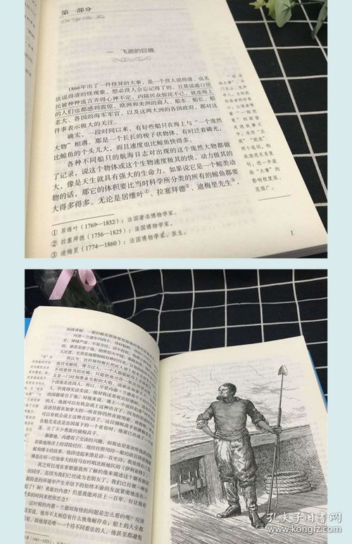 推荐悲伤经典书籍(推荐悲伤经典书籍有哪些)