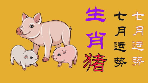 1月份的猪运势(属猪1月份运势)