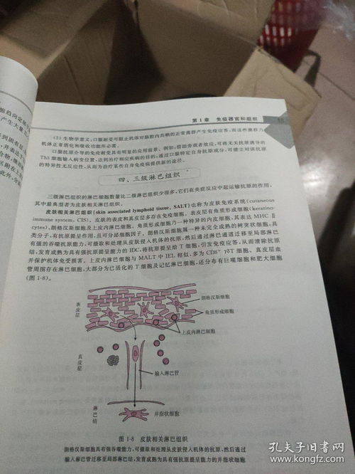 医学副高书籍推荐(医学副高考试用什么资料好)