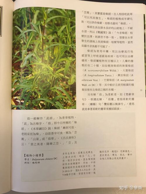 植物入门书籍推荐(植物学入门书籍推荐)