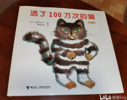 布艺猫咪书籍推荐(布艺小猫的制作过程)