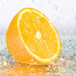 橙子水果书籍推荐(橙子系列的水果)