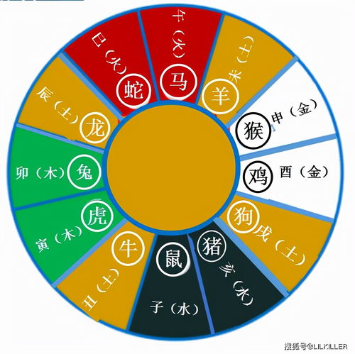 87年属免的6月运势(87年属兔6月份运势怎么样)