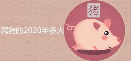 2019年出生的每月运势(2019年运势及运程)