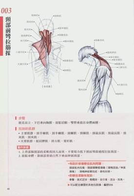 医学解剖书籍推荐(解剖学哪本书好)