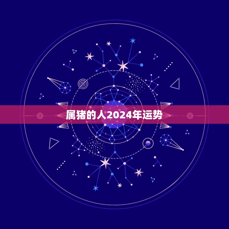 95年属猪未来10年运势的简单介绍