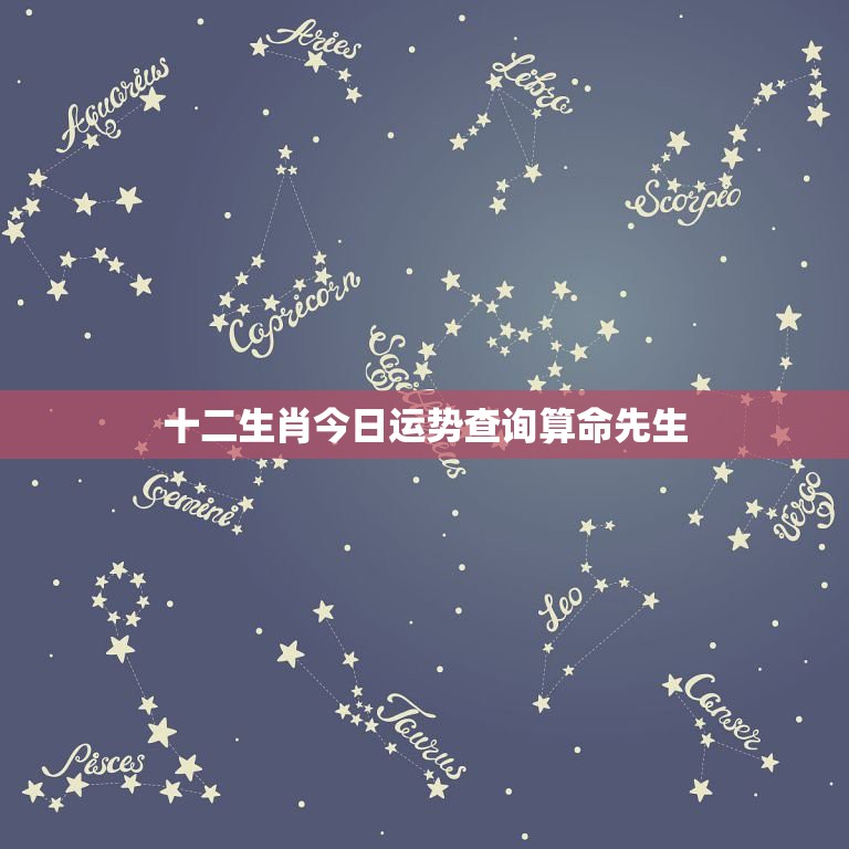 哪个网星座运势最准(那个星座网最准)