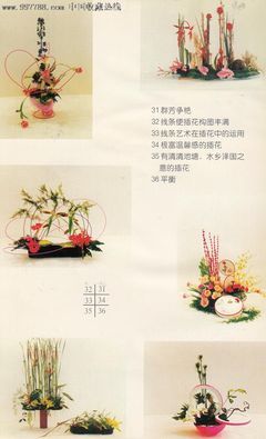 插花作品书籍推荐(插花创作与欣赏书籍)