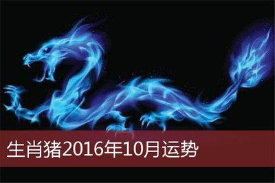 生肖猪2016年运势(属猪的2016年多大年龄)