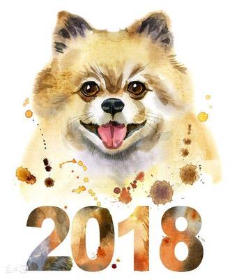 2018猪运程每月运势(2018年猪)