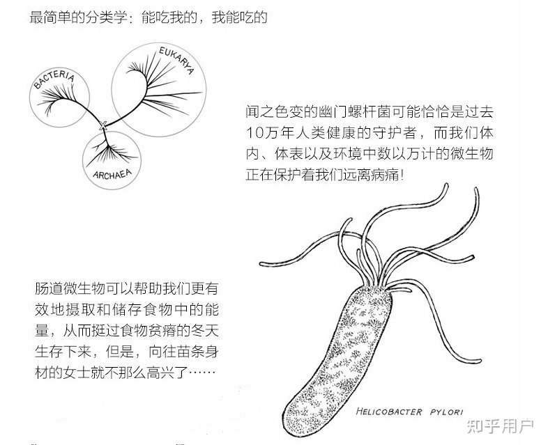 生物书籍简单推荐(生物类书籍有哪些)