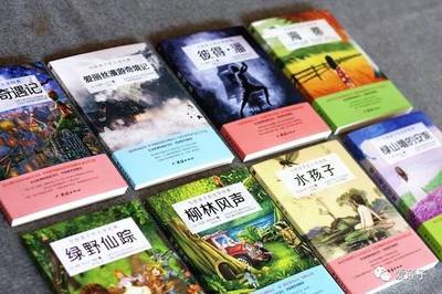 茅盾书籍推荐语(茅盾文学奖最好看的书)