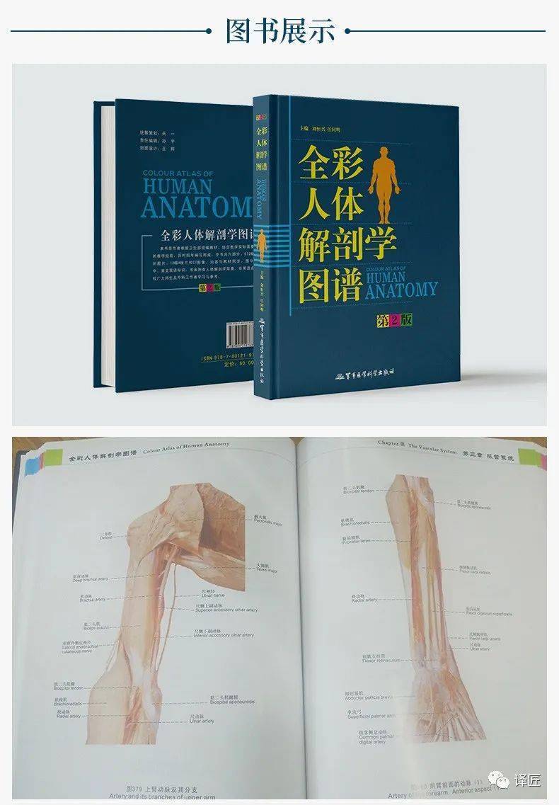 自学解剖书籍推荐(自学解剖学)