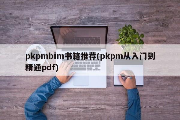 pkpmbim书籍推荐(pkpm从入门到精通pdf)